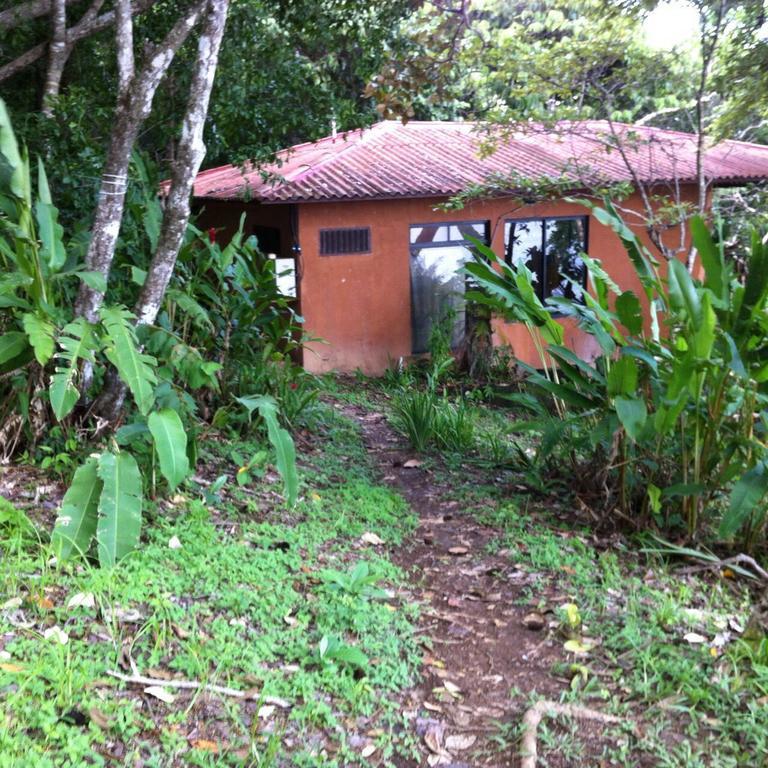 Howlers Bay Hotel Boca Chica Zewnętrze zdjęcie